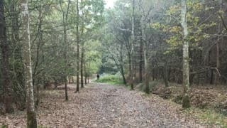 Bien vieillir grâce au sport : bouger autrement, à tout âge